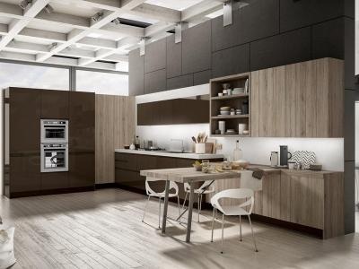 Dark Coloured Kitchen Cabinet Designs